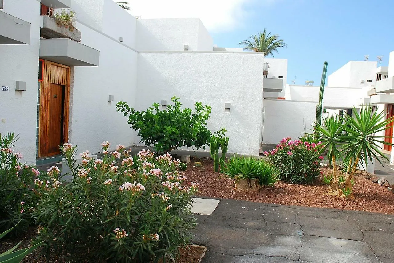 Primavera Pool Apartment Arona   Arona (Tenerife)